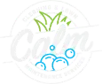 Cleaning And Lawn Maintenance Services